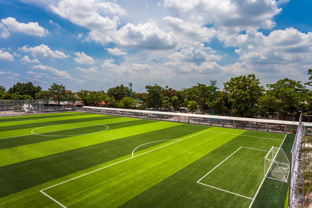 到2025年社会足球场地全面开放这样的参与模式能拯救国足吗