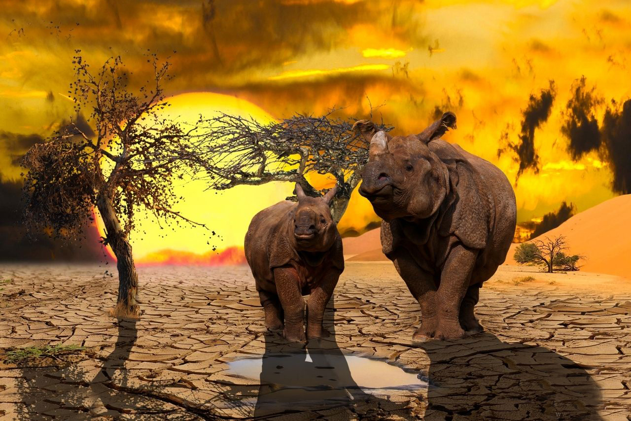 科学家：陆地动物或每2700万年大灭绝一次-第3张图片-IT新视野