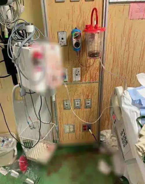 美國日增40萬確診？ ！ 雙陰性新規發布，留學生回國HARD模式