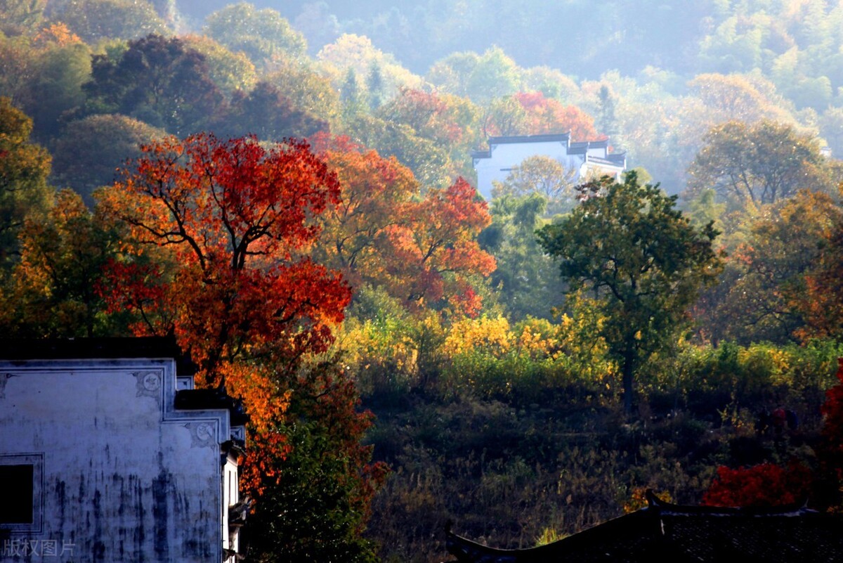 Anhui in autumn, one night into autumn, Huizhou became beautiful