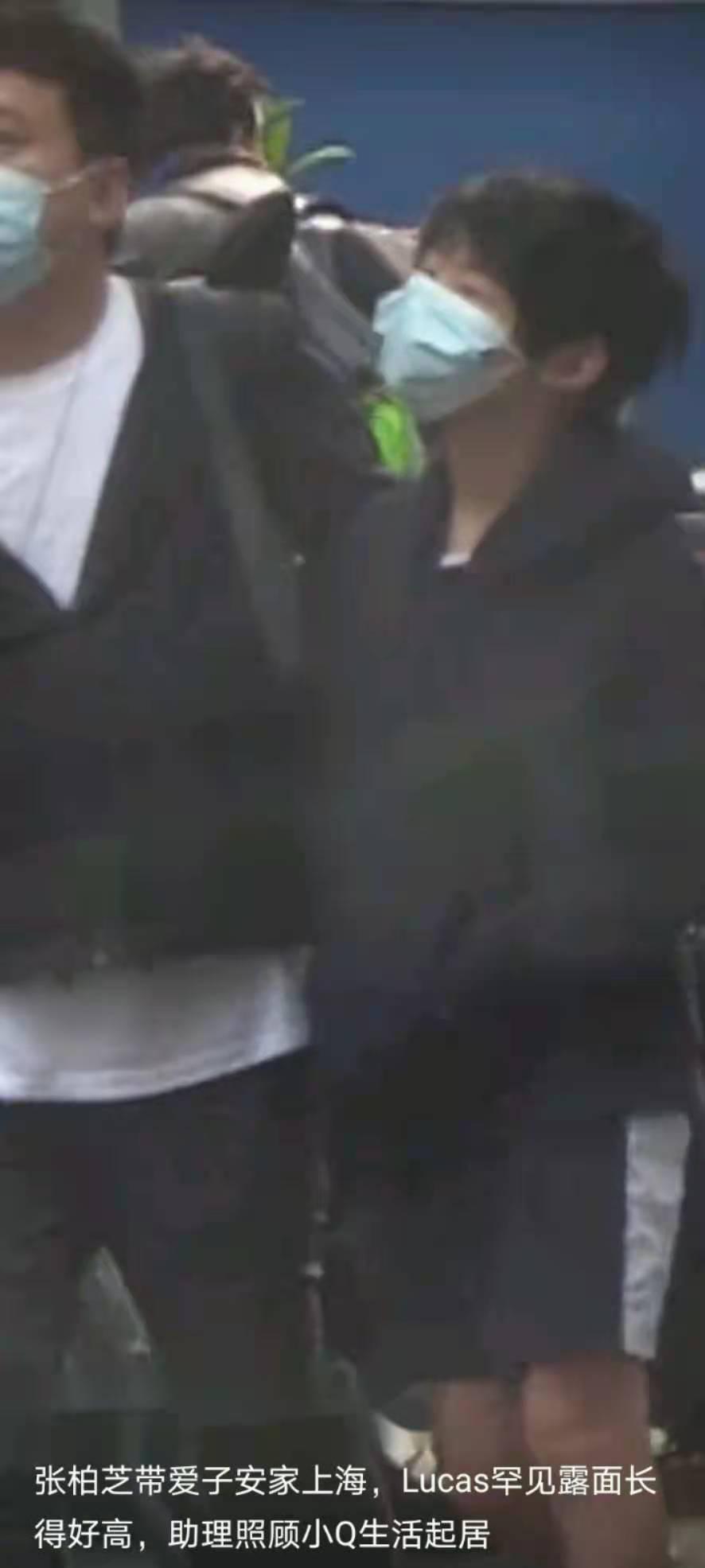 張柏芝被曝定居上海，舉家搬遷引粉絲猜測，疑與小王子生父有關