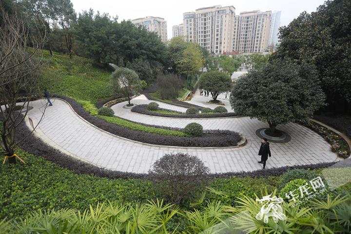 昔日杂草丛生如今美如画卷 看山城坡坎崖如何“挂毯”变身