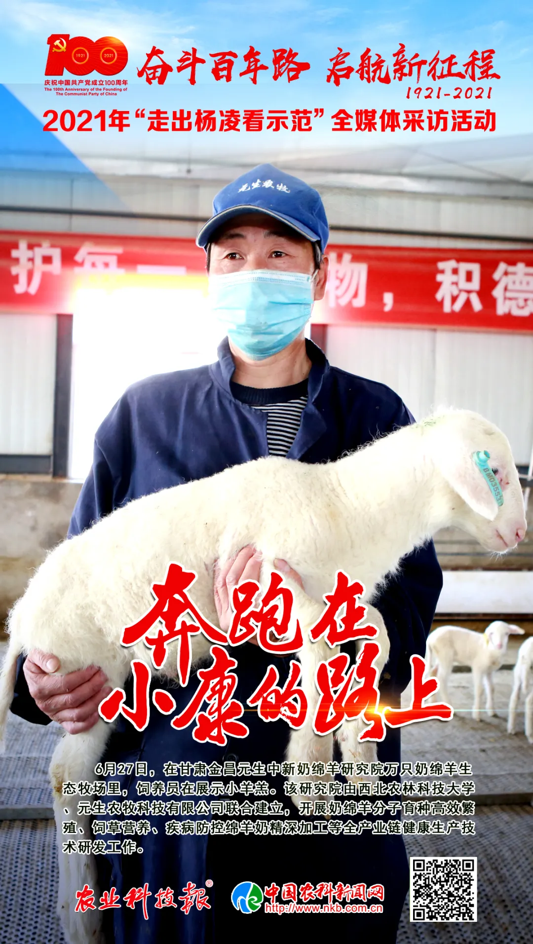 奔跑在小康的路上⑤ | 杨凌农科“加码”金昌“奶绵羊”变“致富羊”