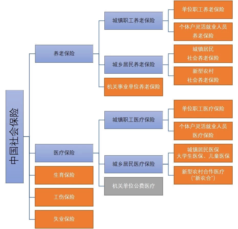 掌握點社保小知識不會虧 - 頭條匯