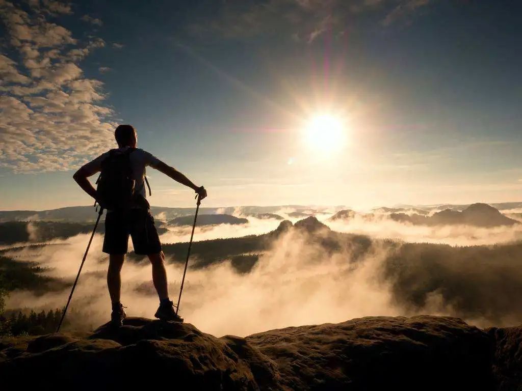 鞋王是这么炼成的？