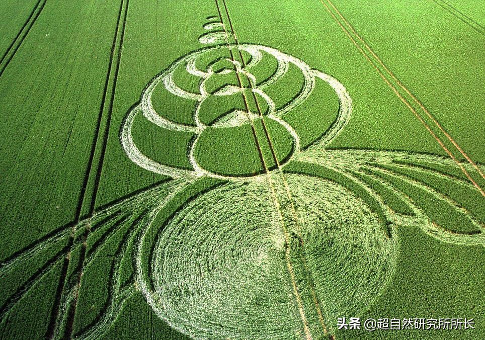 麥田怪圈竟然是假的？究竟是人為還是某種未知的傑作？