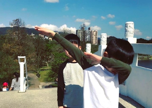 陳若儀帶兒子戶外嬉戲，雙子星越長越不像，一個隨媽一個像爸