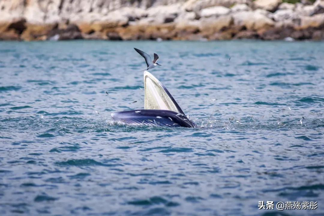 夏日特辑丨中国观海指南