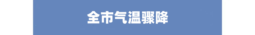 重庆一周大事件：点赞时代楷模毛相林，李雪芮回乡创业，气温骤降