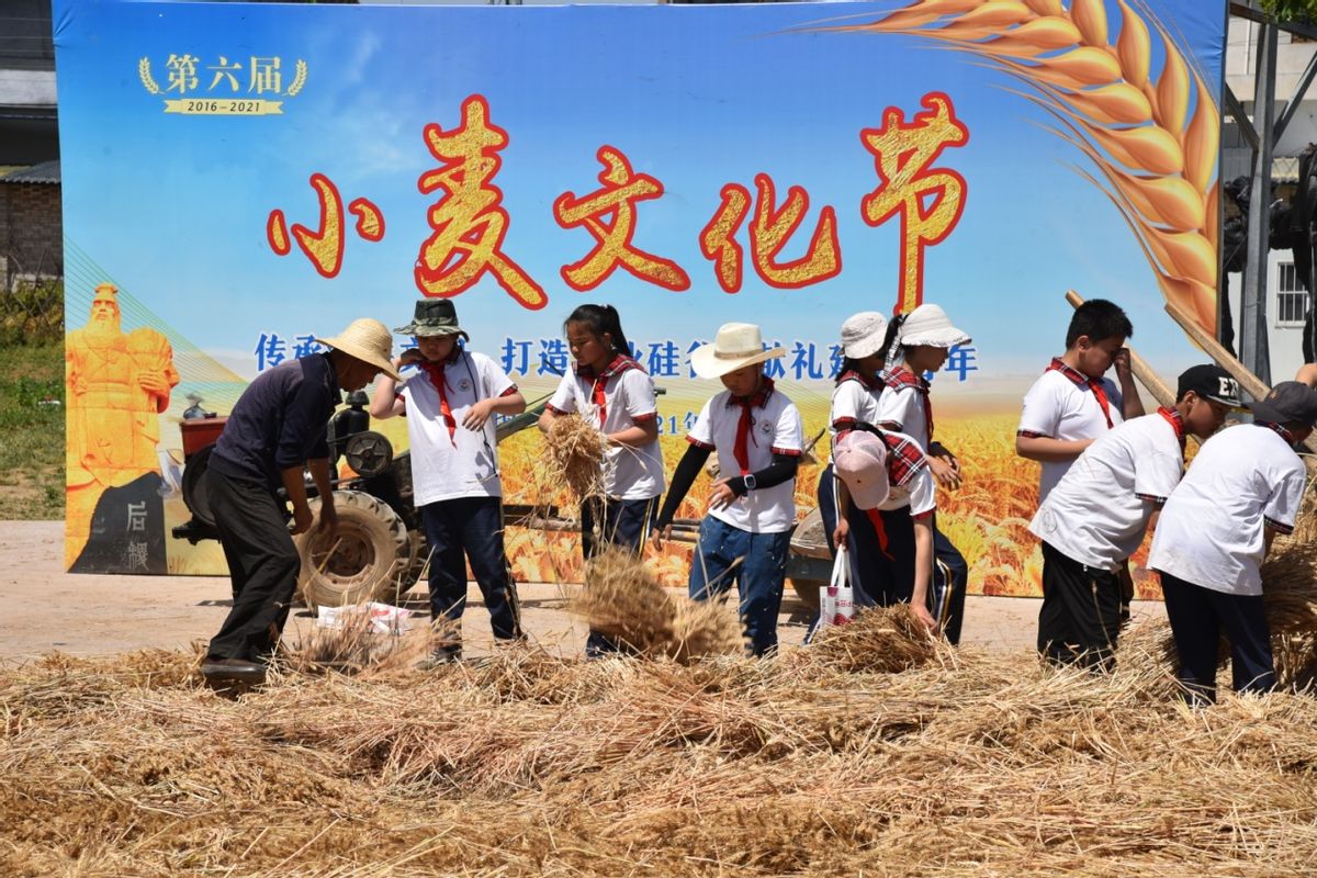 第六屆楊凌“小麥文化節(jié)”傳承了農(nóng)耕文明