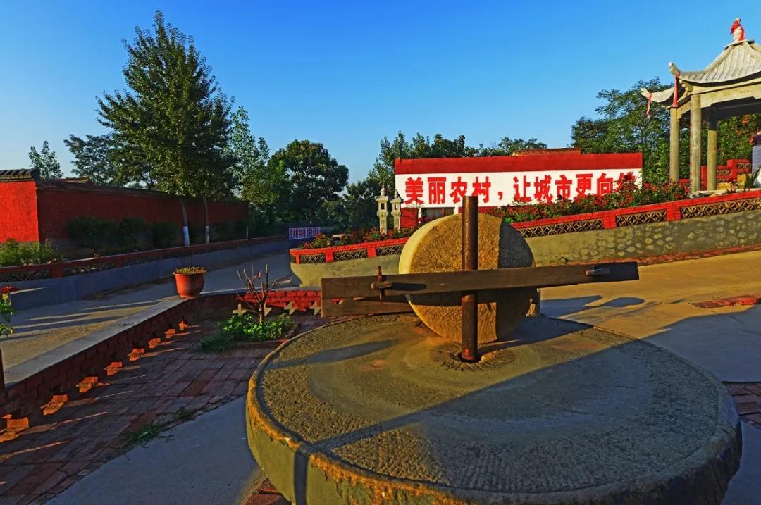 探索乡村振兴成功之道