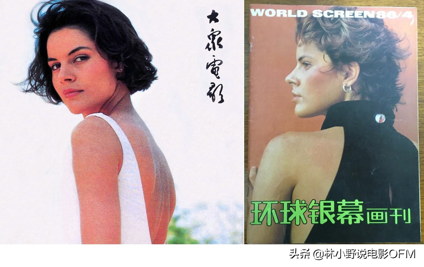 This old oak tree was struck by lightning! "Shawshank's Redemption