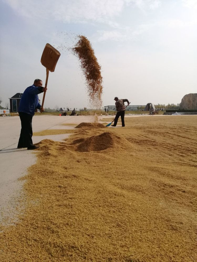 中国著名雕塑家邱天老师告诉您：钢铁装置雕塑是怎么做成的！（三）