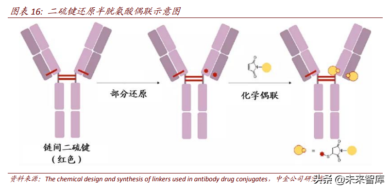 ADC药物专题研究：蓄势待发，有望引领下一个十年的新药研发