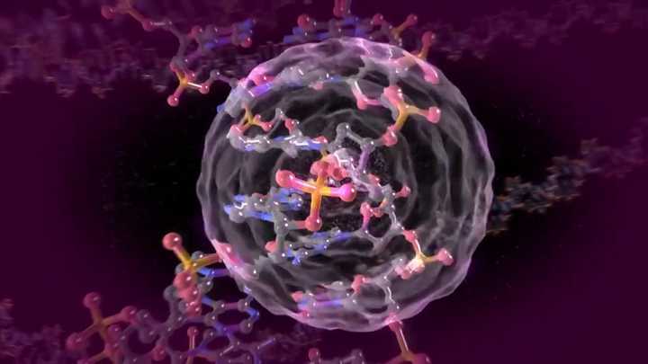 英国科学家培育出“百毒不侵”生命体，不会感染病毒，生长得还快