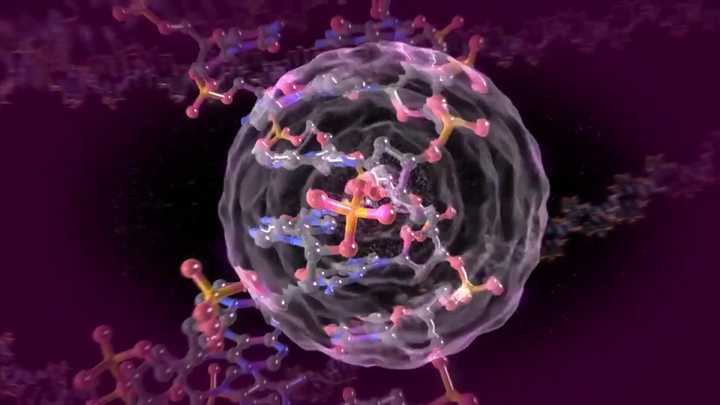 英國科學家研究出百毒不侵生命體不會感染病毒生長得還快