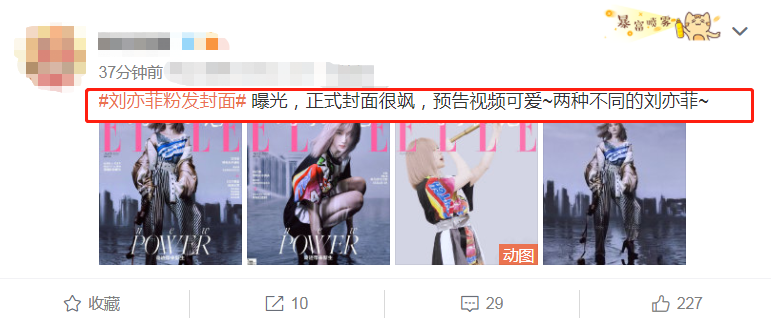 Liu Yifei changes a color eventually! Pink sends cover to give heat, sweet Sa was gone to by the surprise