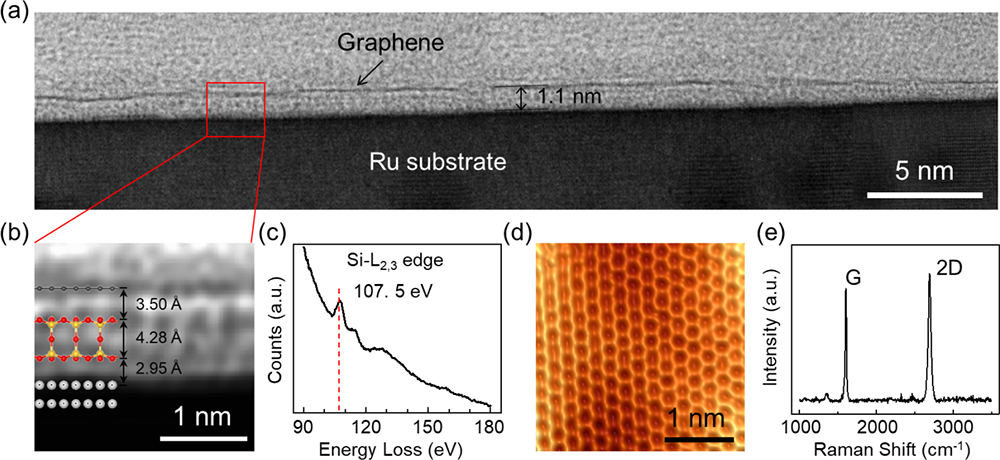 Successfully realized high-quality large-area epitaxial graphene and ...