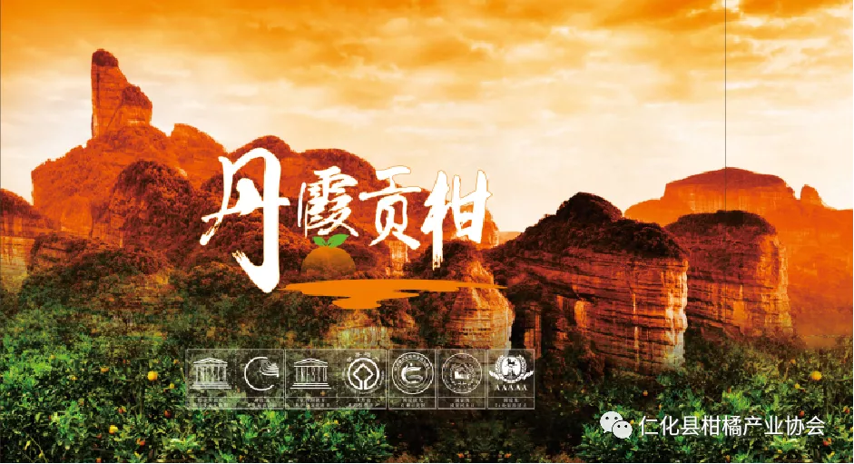 不看不知道!原来丹霞贡柑有这么多秘密!你吃对了吗?