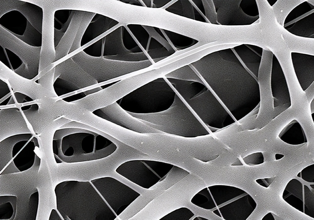 盤點“模仿”大自然發明出的，9種新型仿生學