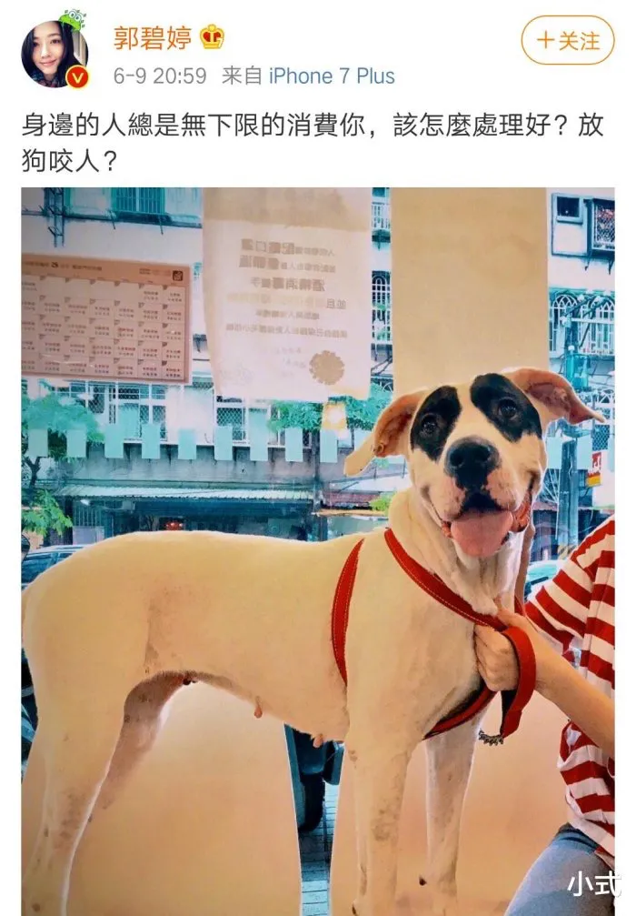 郭碧婷深夜发文表示委屈，婆婆霸气回应，放萧敬腾的狗咬人