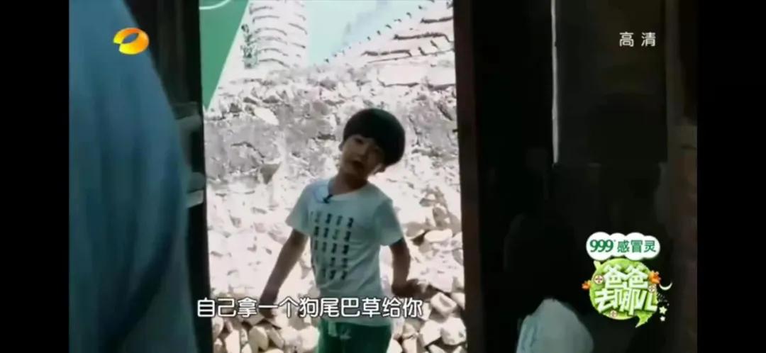 《爸爸去哪兒》播出7年後，5個孩子變化驚人：他們都經歷了什麼