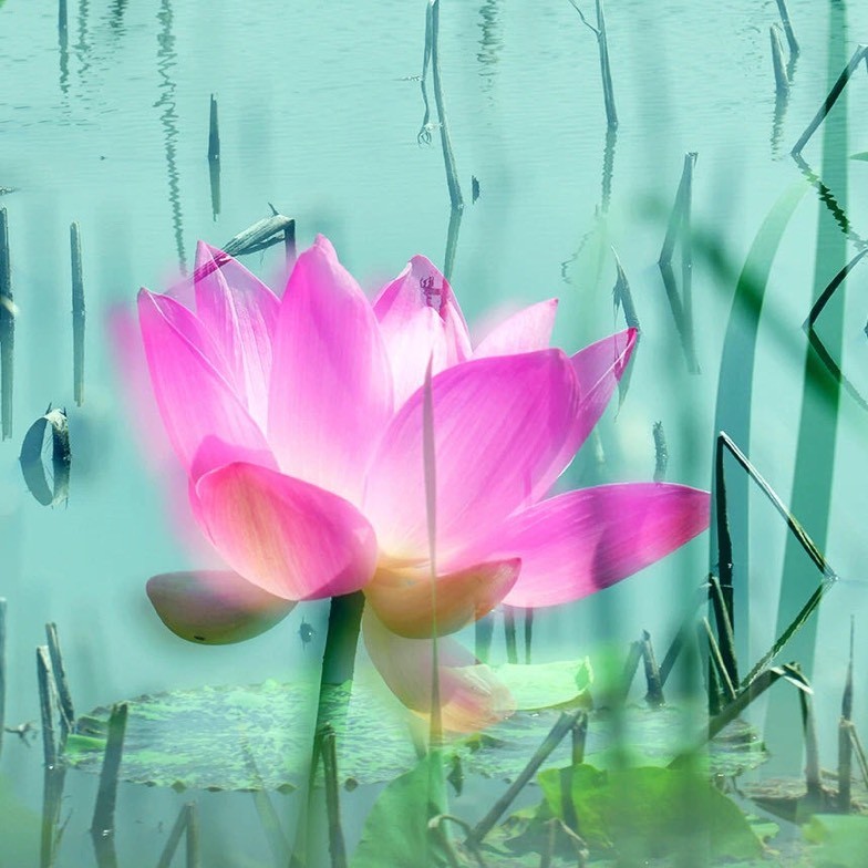 东湖追光，迈出新年第一步