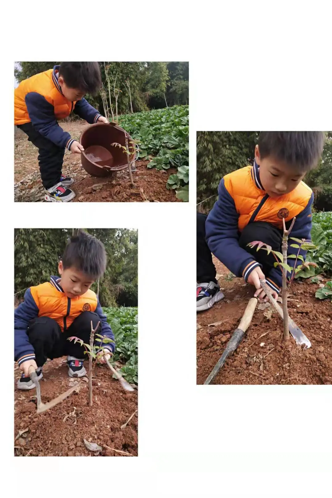 创绿色环保 享美好家园丨天府新区新兴小学植树节环保教育活动