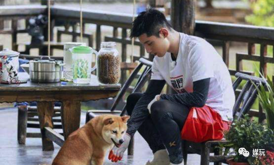 《向往的生活4》增加一只宠物！他们是怎样把狗鸭牛羊带出道的？