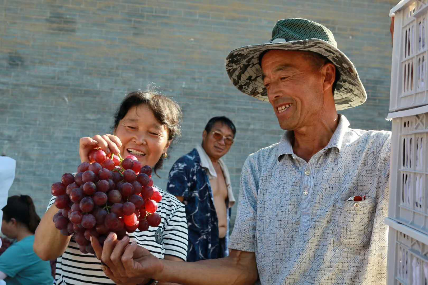 合陽(yáng)縣：葡萄喜豐收 農(nóng)民笑開(kāi)顏（圖）