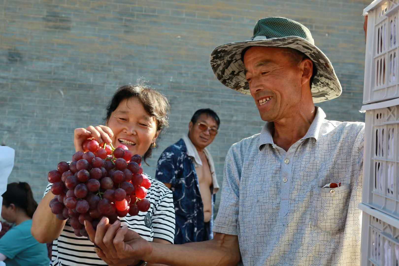 合阳县：葡萄喜丰收 农民笑开颜（图）