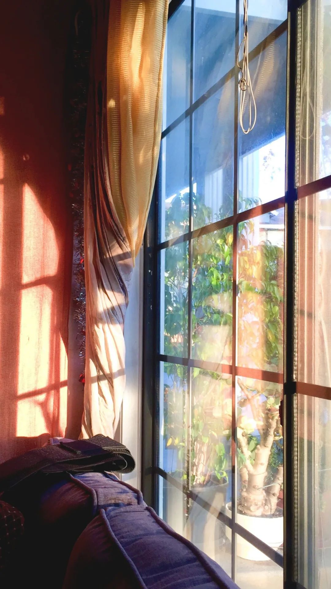 温暖|早安心语温暖语句短语:见什么世面,见见你就好了