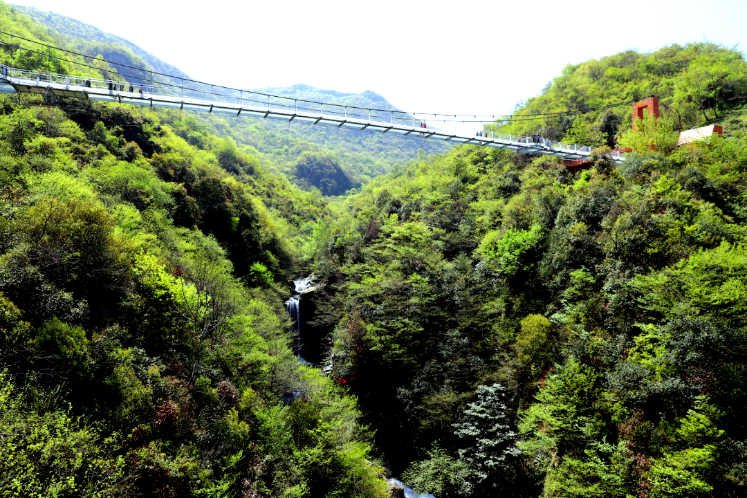 六一帶上自家“神獸”來龍津溪地尋找純真童年！山泉、瀑布、鳥鳴