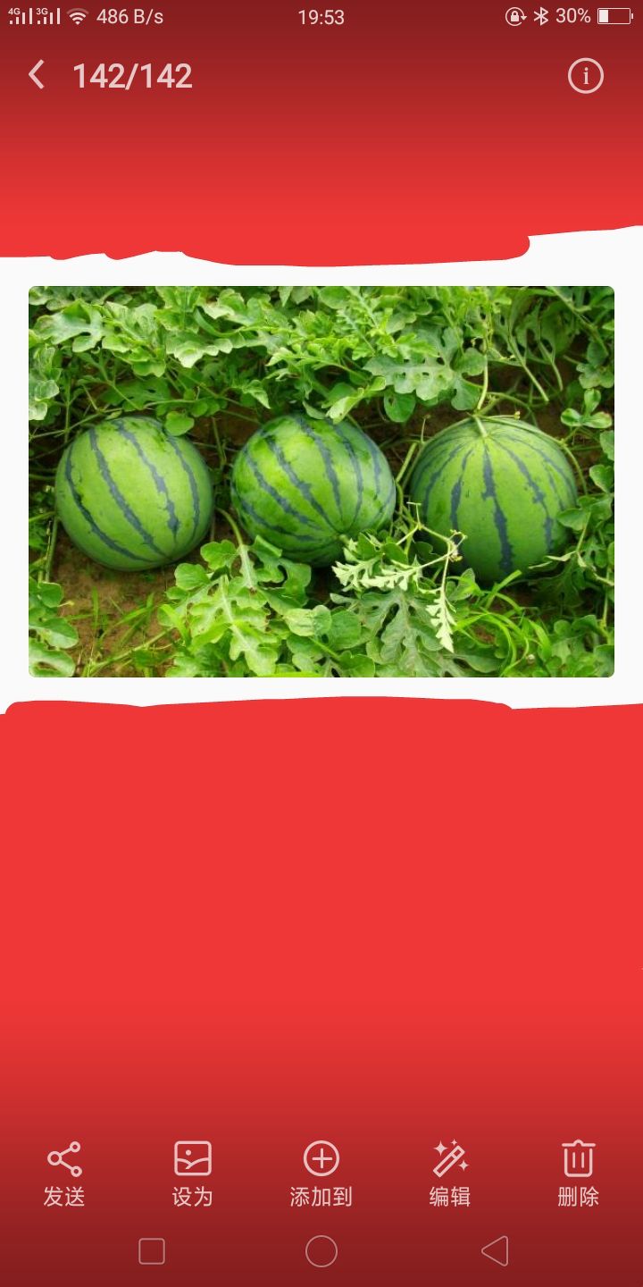 So strawberries are not "berries" at all?How many years have you been deceived? iNEWS