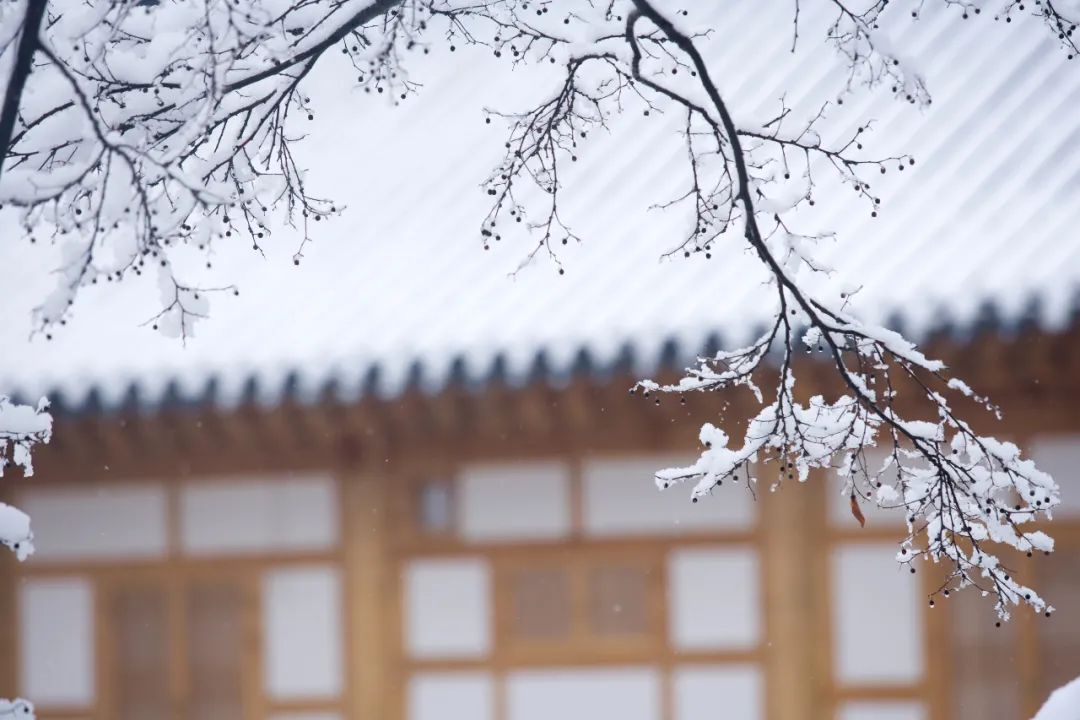 有一首诗词，叫“我想你了”-第3张图片-非凡网