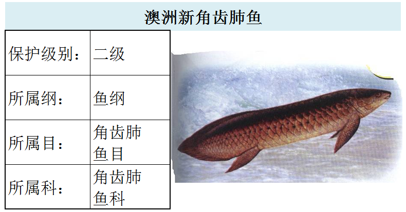 国家最新水生野生保护动物名录（共计三百余种），第2期