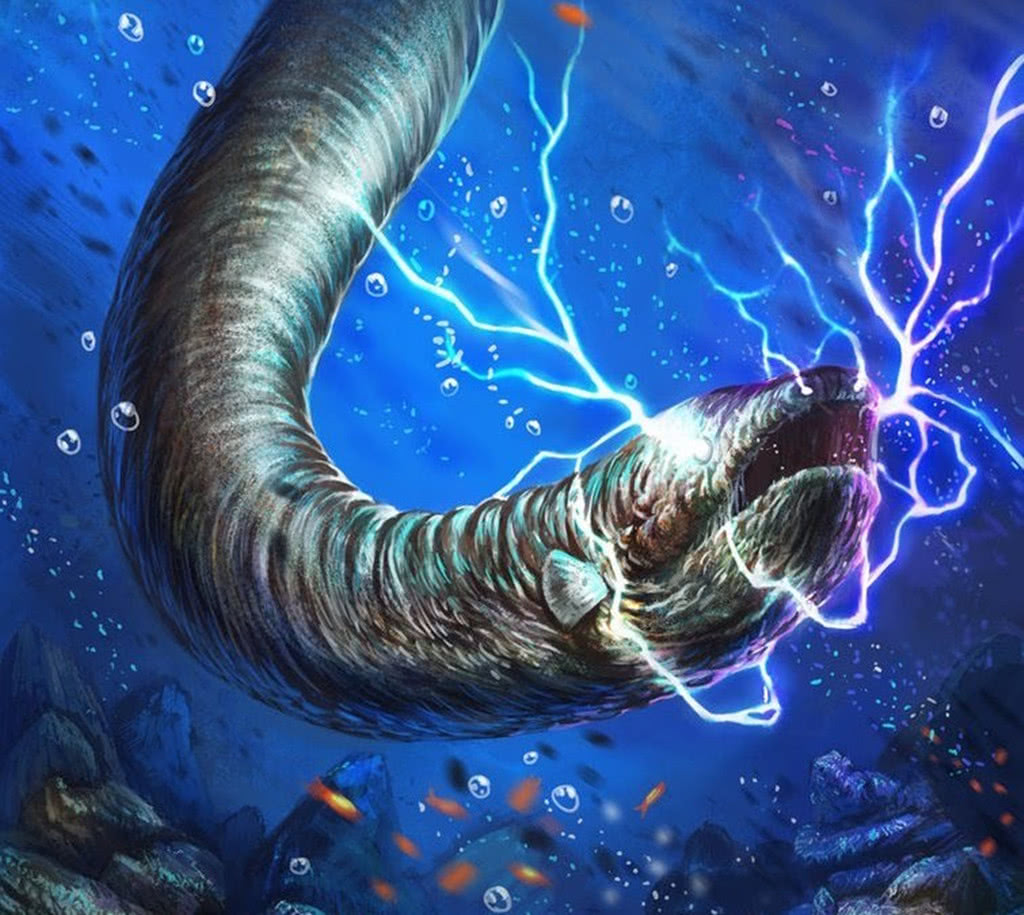 Why can electric eels emit 860 volts?When a crocodile bites an electric