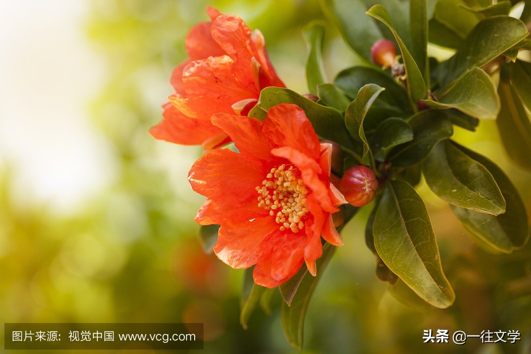 论毒舌，谁能比过王尔德