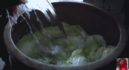 "Pickle is us " plum seven does pickle Korea netizen not to sit, initiate besiege