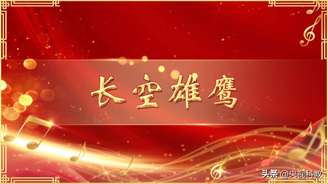 《英雄赞歌》：长空雄鹰