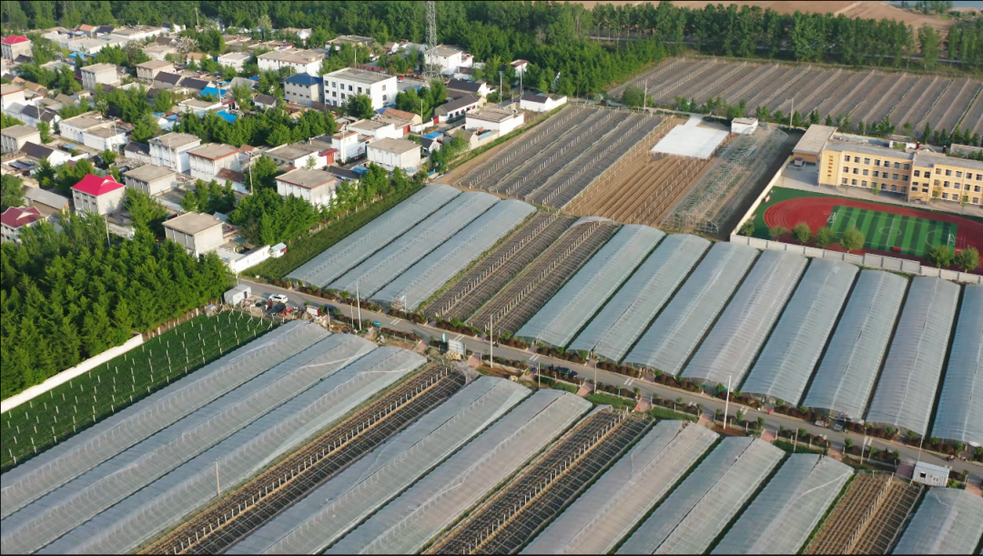 美丽乡村看沂蒙-走进罗庄