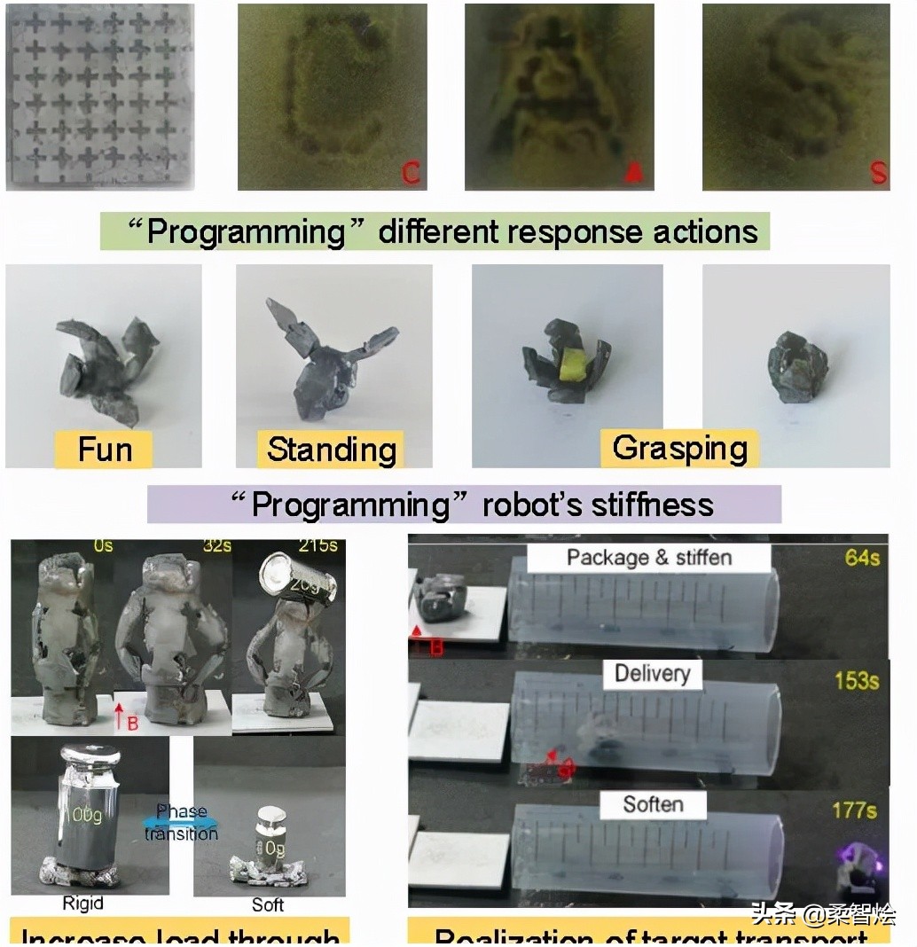 Shape Programable Chinese Academy of Sciences develops shape programmable magnetic pixel ...