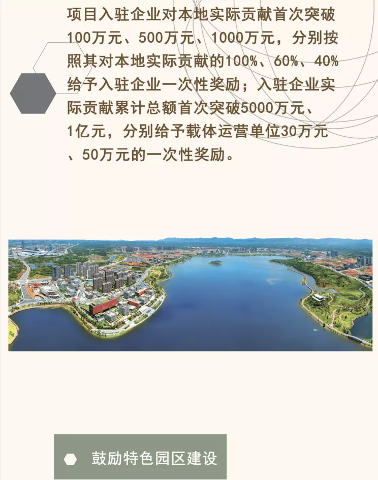 乡村振兴高质量发展十条政策