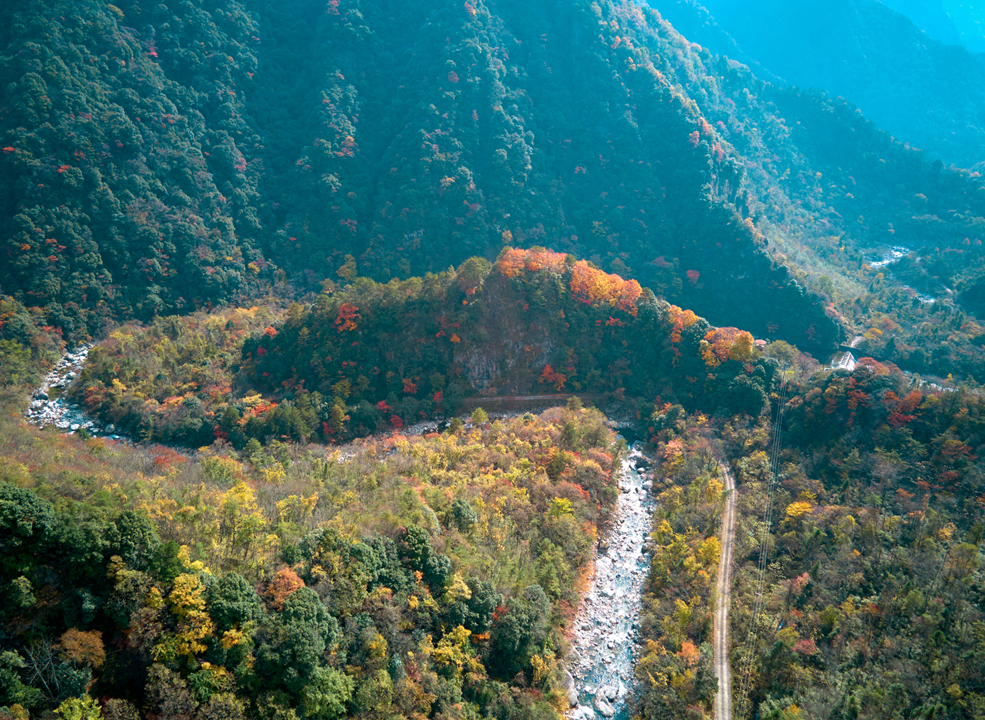 四川|媲美光雾山！平武这条沟，藏着一个惊艳的彩林秘境！