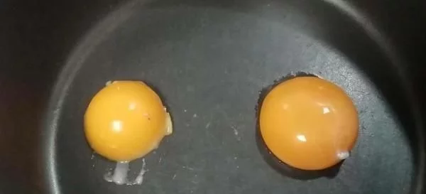 日本便利店竟用“假鸡蛋”，网友：像冒气泡的