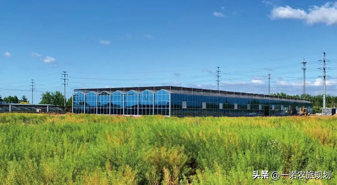 国家现代农业产业园奖补资金方面有何特点？