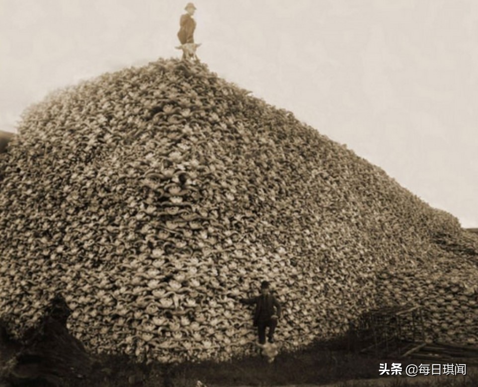 历史上这些珍贵照片，有的会让您觉得不可思议（一）