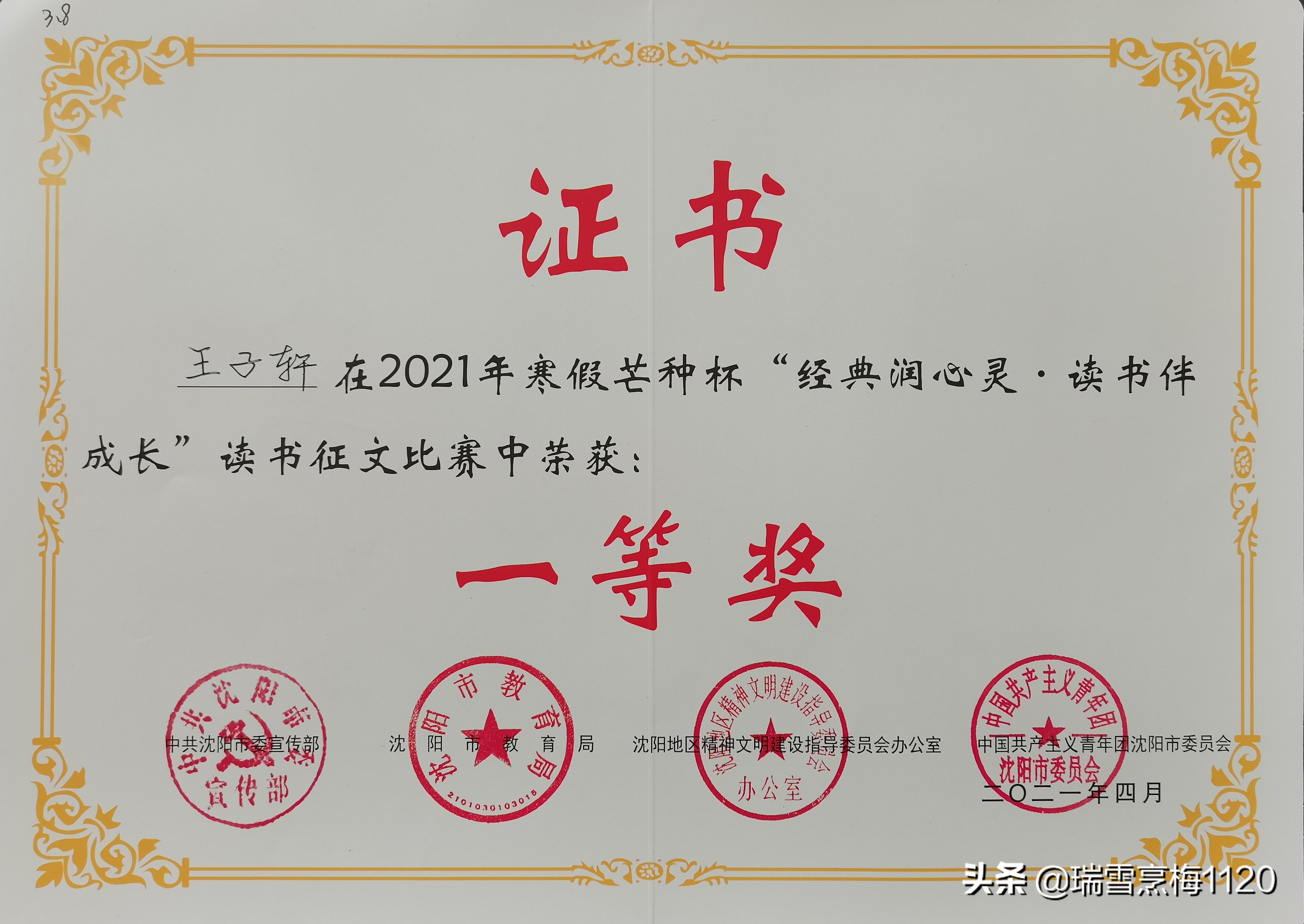 沈北新区新城子街第一小学2021寒假芒种杯获奖(图4)