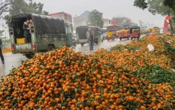 未经我国同意，2500辆卡车就运向中国？被拒后