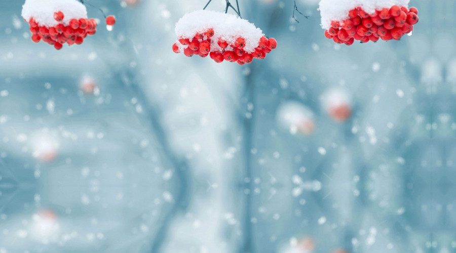 易經(jīng)：大雪節(jié)氣，是一個全新的開始，充分激活能量，則無事不成